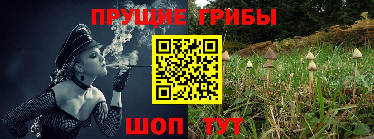 Галлюциногенные грибы Magic Shrooms  Псилоцибиновые грибы Psilocybine cubensis  Богородск  Вход с VPN 